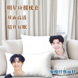 肖战单人枕套王一博单只装高清图案A类追星卧室宿舍通用 48x74 cm