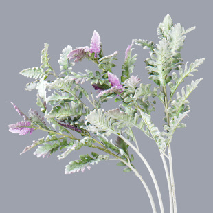 �y�~�շ���ֲ���仨��zӰ�����쾰�廨�����~ֲ�ֲ�q�y�~��