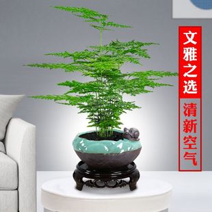 ���������k����С�Gֲ����ֲ���҃�������B�����՚��辰�ļ�����