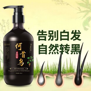 �䱶ޢ���מ�ϴ�lˮ�װl�D�ڰl�ݱ�ֲ�����ȥмș����Ȼ���B���l