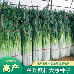 ����ɽ�|������[�N�Ӹ߮a�F�U�߲����ӷN���ļ��[�N���ش����[��