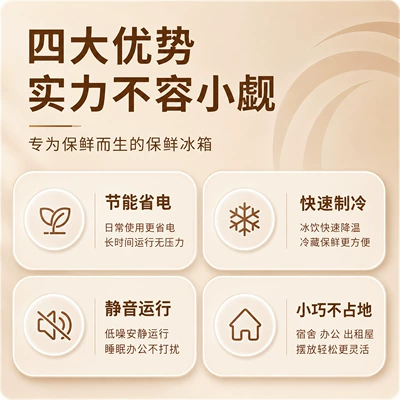 Semiconductor Refrigerator for Car, Dormitory, Soyuducular