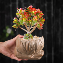 多肉花盆陶瓷粗陶浮雕绿植盆栽莲花形盆景盆异型花盆桌面装饰摆件