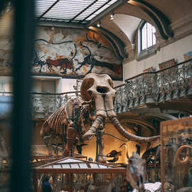 大型仿真恐龙动物骨骼骨架化石仿真大型手办厂家直销摆件来图制作