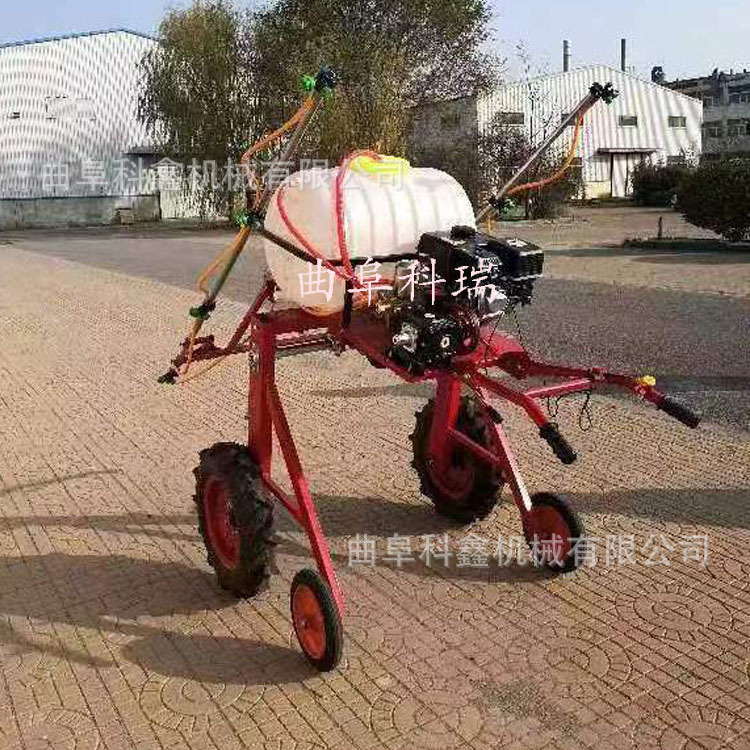 科鑫直销手扶自走式喷雾器白场地蒜地灭虫打药车农作物农药喷洒机