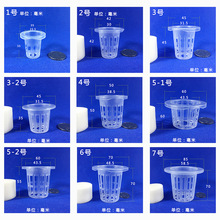 ���ϻ��@��ֲ�̸���������߲ˈA�λ@�O��ˮ��ˮ��ֲ��o������