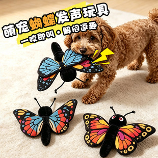 �羳�������������� �������˰l��؈��� ������ҧë�q���