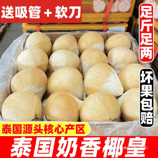 ̩���M��С��Ҭ�����u����ˮ��Ҭ���ЋD�����r�����rˮ��������]