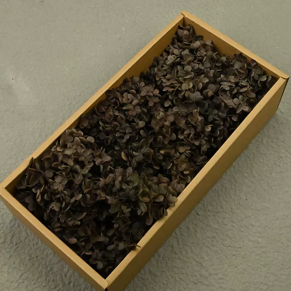 AB Wooden Hydrangea Coffee (100g)