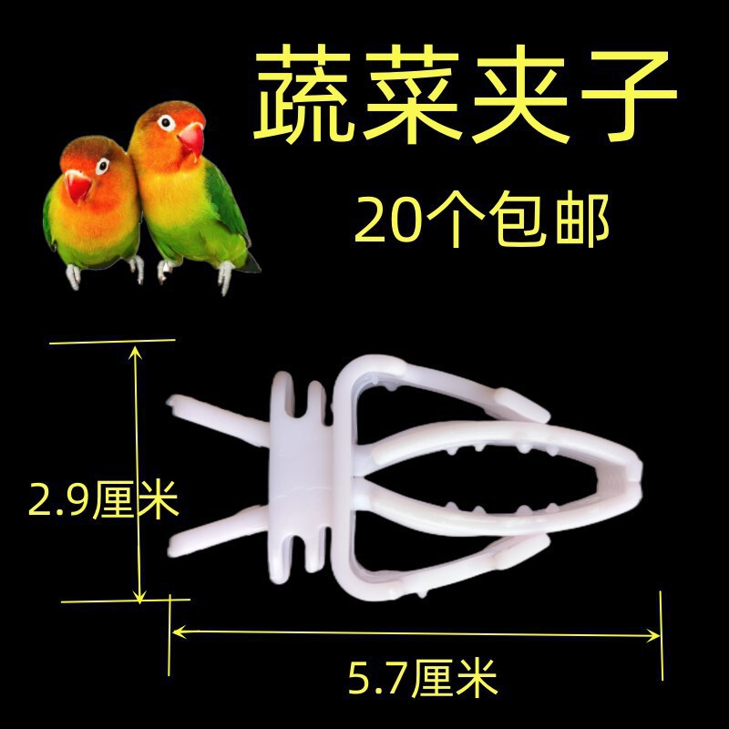 鳥用ソフトフードプレート、フードボウル、分離フードボックス、翡翠鳥、ハイビスカス鳥、カナリア、ゴールデングリーンアッシュスワロー、シスターズバード、オウム|undefined
