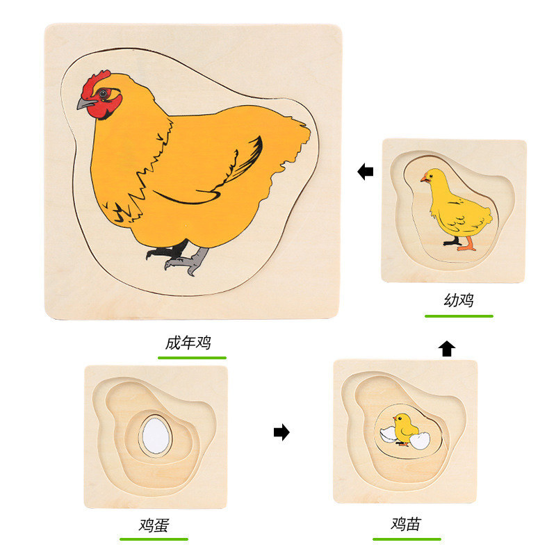 CPC de los niños de madera 3D animal digital tridimensional rompecabezas de crecimiento animal proceso de evolución rompecabezas juguetes de madera