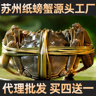 ꖳ�з�ϰ���lз����� ��4��ĸз3�� ؛Դ����֧�ִ����a����Դ