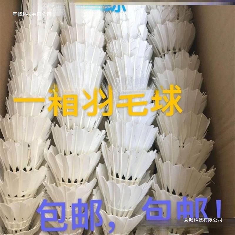 Second-Hand Badminton 90% New Teaching Training Multi-Ball Training Ball Pre-Match Comprehensive Practice Ball Professional Amateur