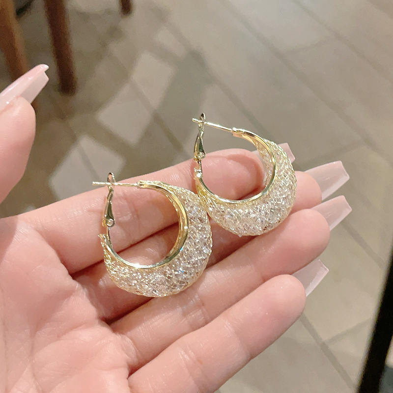 女性用の絶妙なスーパーフラッシュメッシュジルコンイヤリング、トレンディなライトラグジュアリーハイエンドニッチハイエンドデザインイヤリング、女性用イヤリング|undefined