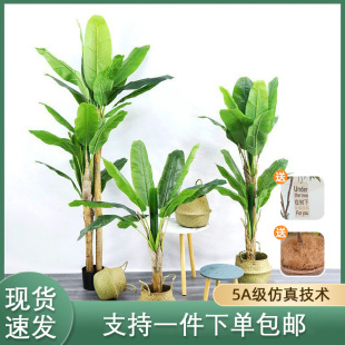 ���R�d���ͷ���ֲ��Ž������ԙ�������bᎧ�Gֲ�㽶���辰