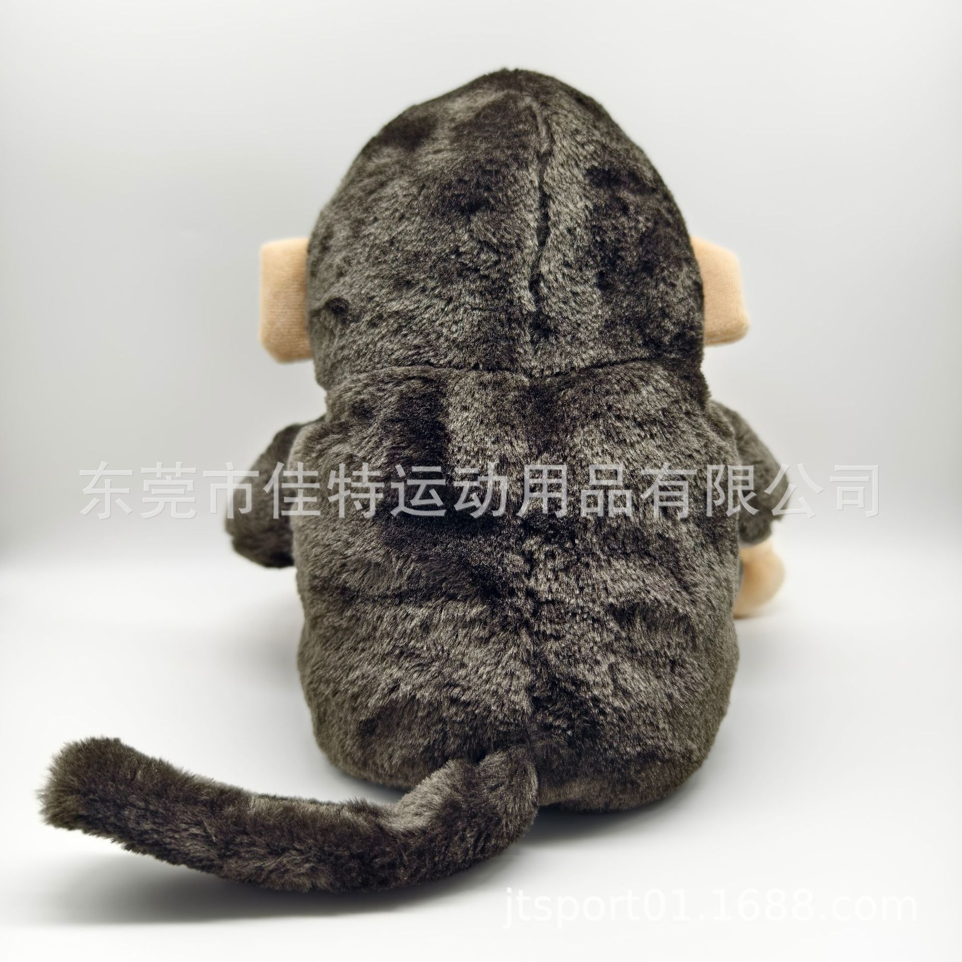 微信圖片_20240326163303