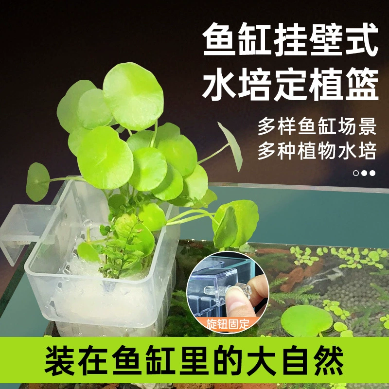 Аквариум гидропонное растение корзина для посадки водорослей чашка настенный утолщенный аквариум