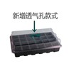 12 -hole 24 -hole breeding seedlings Box three -piece set of three -piece home use large acupoint seeding supplies plant planted seedlings cross -border supply