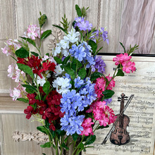 ѩ�q���߼��з��滨��@�L�񻨻ܻ�cܛ�b�z����߼ٻ����Q����