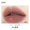 04 water chestnut