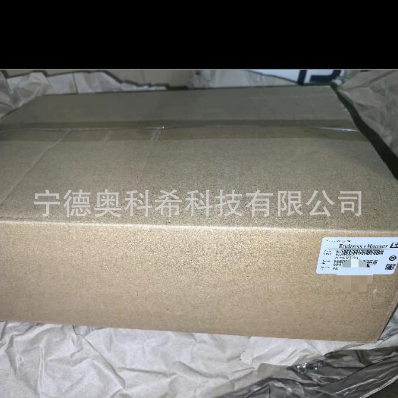 E+H 恩德斯豪斯电导率CLM253-CD8105 电极 CLS54-ACS1022 议价
