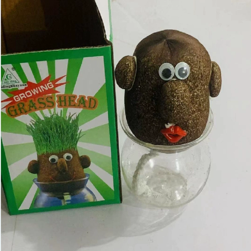 Посадка травы голова giegie африканская травяная кукла офисный горшок Корейская травяная Кукла длинная травяная кукла Ржаная кошка Трава