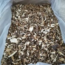 ҰƤ؛ ɽҰ100brƵҜǳؼ