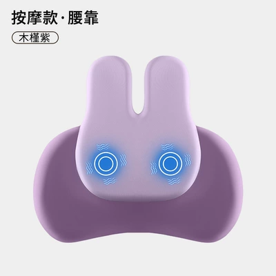 Waist support — Heating, Electric Massage, Space Memory - hibiscus-purple-high-edition-massage-type-single-lumbar-support
