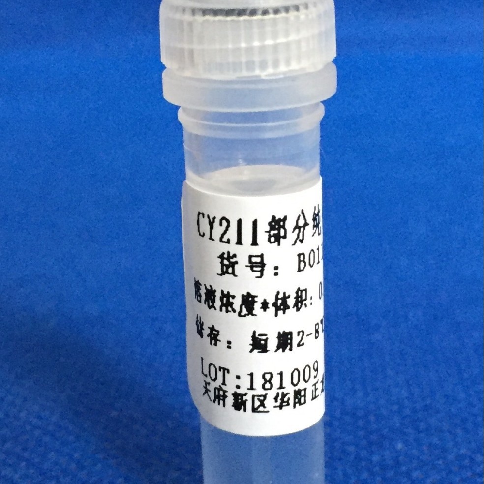 CY211��Ʒ��ԭ