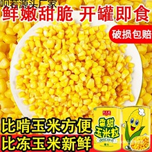 甜玉米粒香甜玉米罐头开袋即食玉米精选玉米沙拉水果松仁玉米榨汁