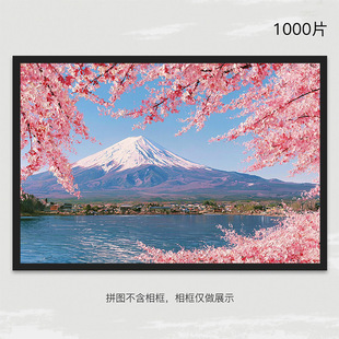 ��Ҋ��ʿƴ�D1000Ƭ�������߳��˰���Ů�����նY����ֵ����ϵ