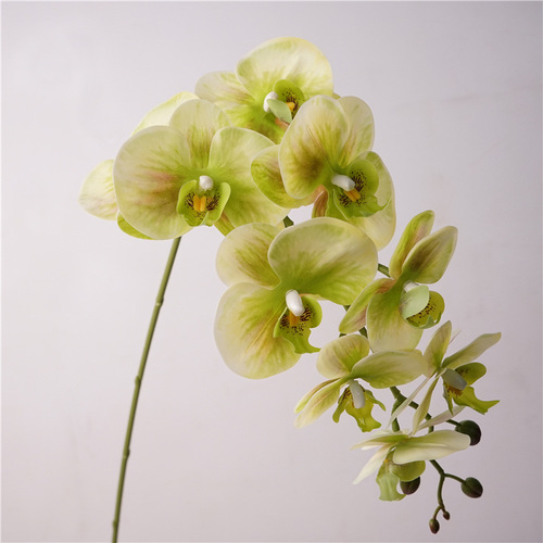Light luxury style high-quality butterfly orchid artificial flower fake flower living room dining table entrance tabletop floral decoration bouquet
