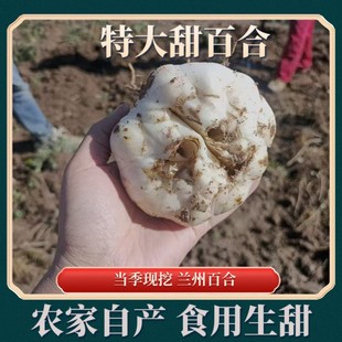 �m�ݰٺϮ����F�ڰٺ�ʳ�ðٺ��m�ݮa��ֱ�l���r�ؼ��r�ٺ�