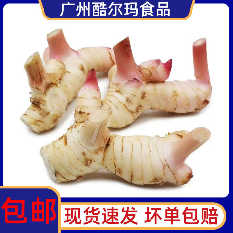 Free Shipping Thai Southern Ginger 500g Fresh Mountain Ginger White Peel Southern Ginger Restaurant Thai Tom Yum Soup Spices Free Shipping Thai Southern Ginger 500g Fresh Mountain Ginger White Peel Southern Ginger Restaurant Thai Tom Yum Soup Spices
