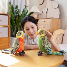 �羳����С�Bë�q��߽����W�^������ż�[������@�o��Ʒ��ͯ����