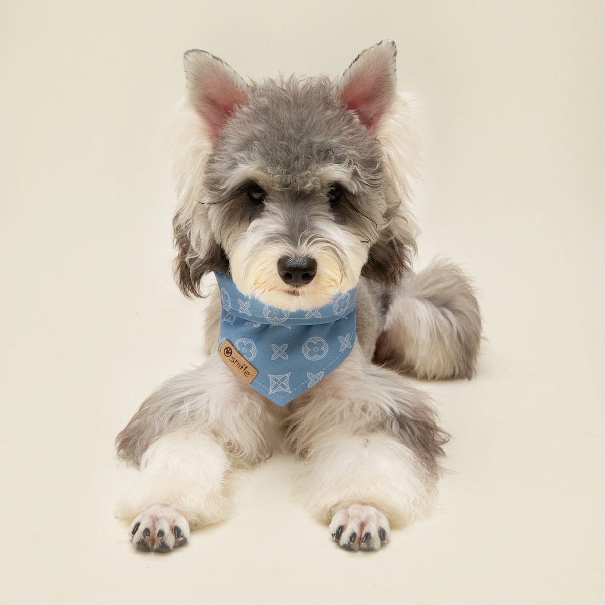 Toalla de saliva para mascotas, bufanda fina de verano, babero para cachorros, Teddy Bichon, accesorios Corgi, marca de moda, bufanda triangular para perros grandes