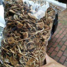 茶树菇干货菌类非野生干菇煲汤干菌菇茶菇蘑菇山菌开伞新鲜菇类不