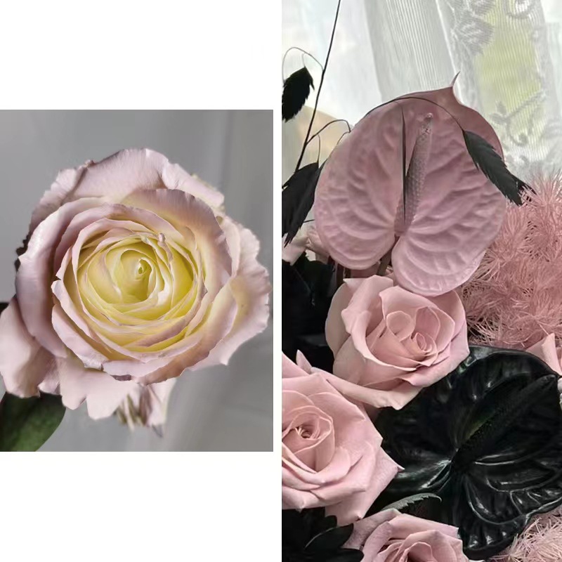 Internet celebridad ciruela negro rosa púrpura flores autopintadas agente de pulverización de color tinte floral spray colorante