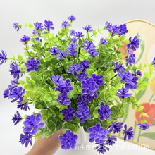 �羳�ȼ����軨���쿹���⾀����õ�廨�Gɫ�������ϻ�ֲ��b�