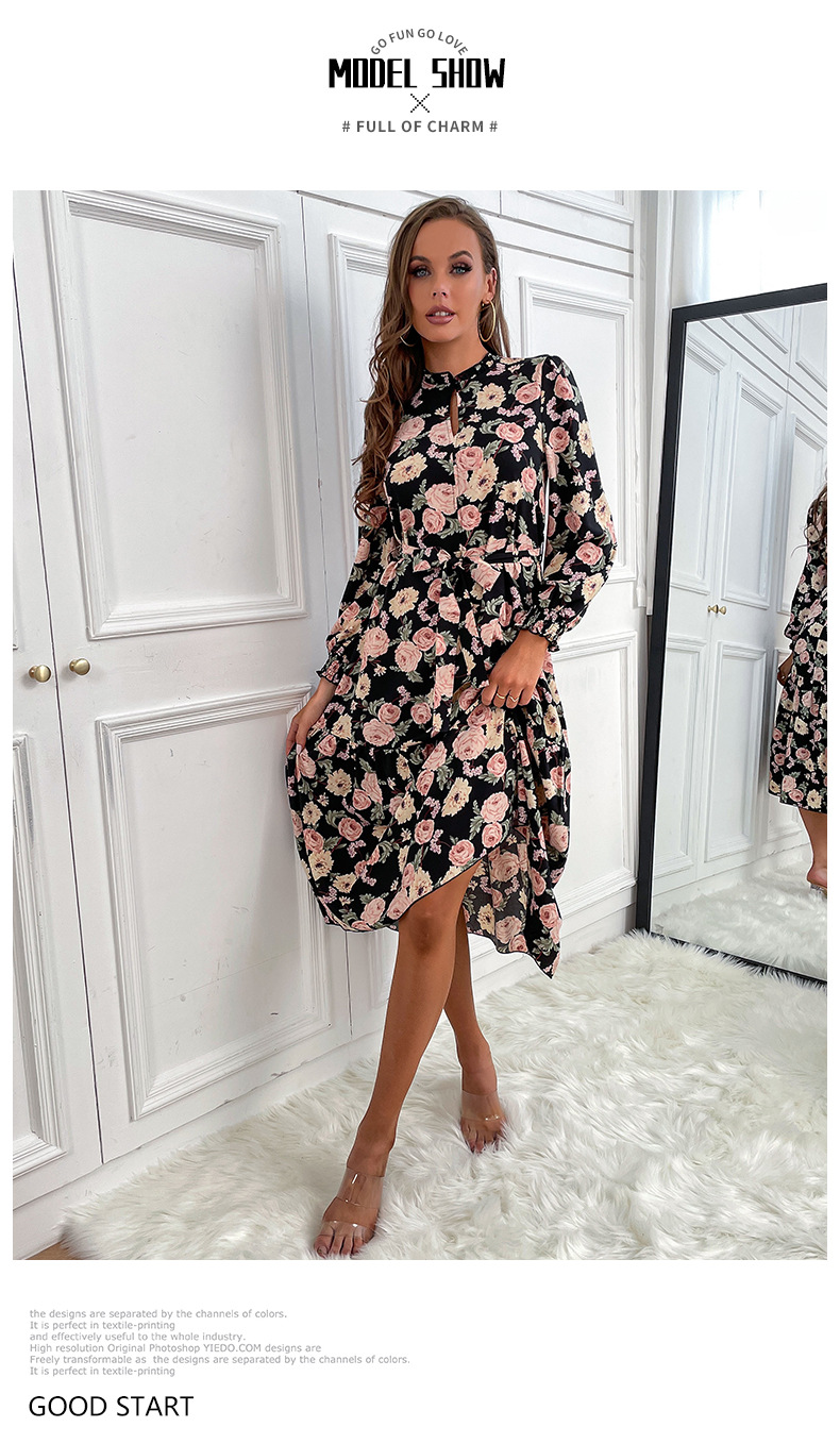 Long-Sleeved Floral Chiffon Dress NSDMB102891