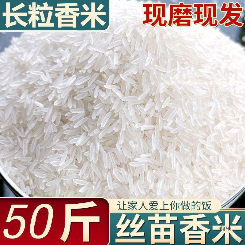 丝苗米大米煲仔饭煮饭猫牙米批发晚稻长粒香米蛋炒饭50新米斤其他|undefined