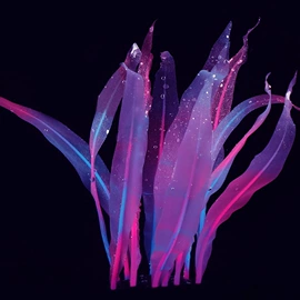 造景/装饰;水族箱;日用橡胶