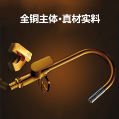 家用冷熱抽拉式水龍頭批髮菜盆置物架萬向全銅龍頭廚房水槽延伸器