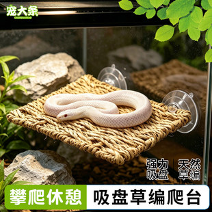 �����ݾ����P��վ̨�،m�����ߕ�̨���P��B���쾰�羳���lXJ