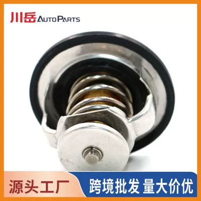 thermostat (wax thermostat) – Thermostat