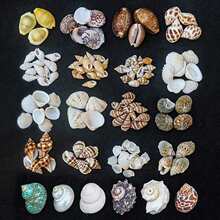 �Q��С����ؐ����������DIY�ֹ�΢���^�����~�׵�̨�b����l