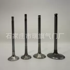 气门及部件