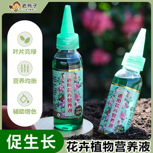 Old Man's Concentrated Plant Nutrient Solution Household Gardening Plant Flowering Leaf Spray Fertilizer Hydroponic Flower Liquid Fertilizer