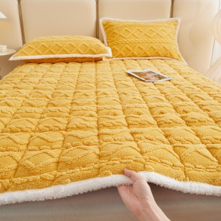 Factory wholesale Tower velvet new mattress thickened warm bed mattress non-slip washable fleece-lined mat for delivery