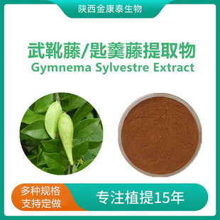 �׸�����ѥ����ȡ�� ��ѥ����Gymnema Sylvestre Extract500��